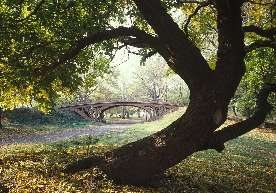Amerika Central Park New York
