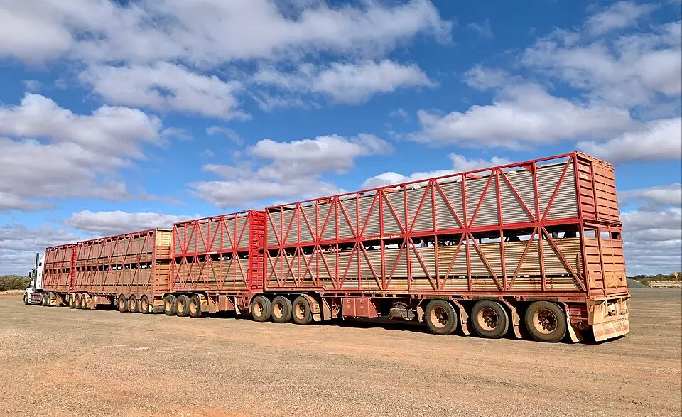 Australië road train transport