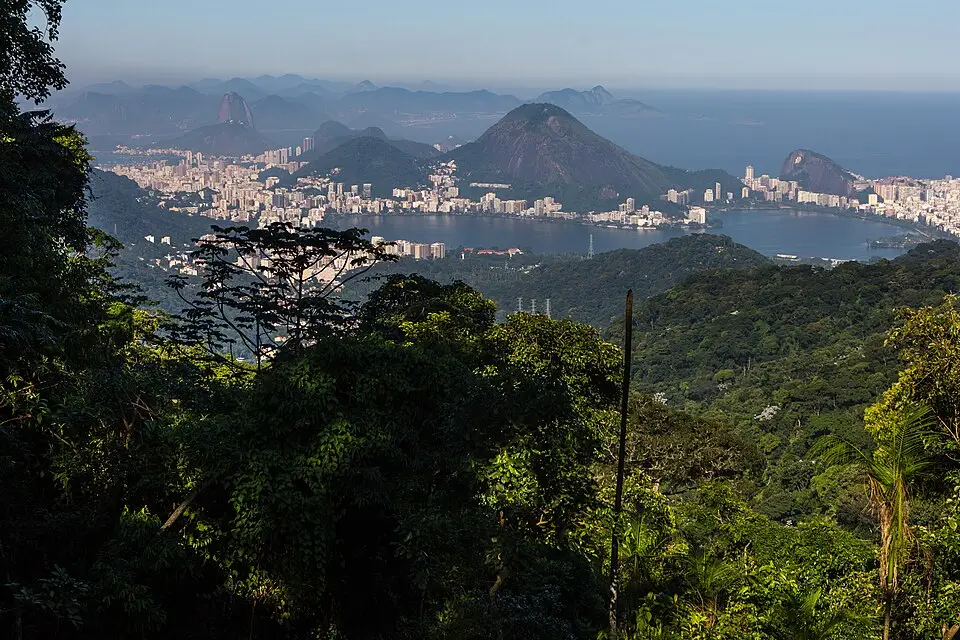 Brazilië Nationaal Park Trijuca
