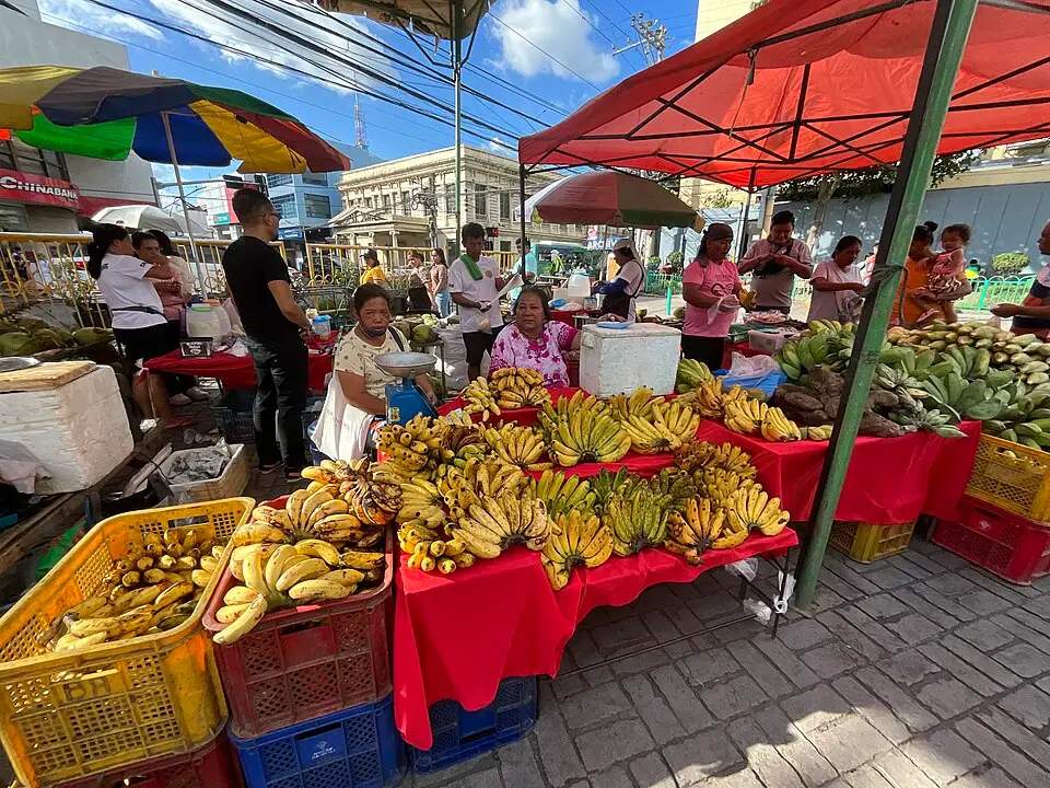 Filipijnen fruitkraam bij Cebu gemeentehuis