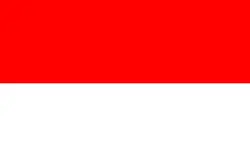 Vlag van Indonesië
