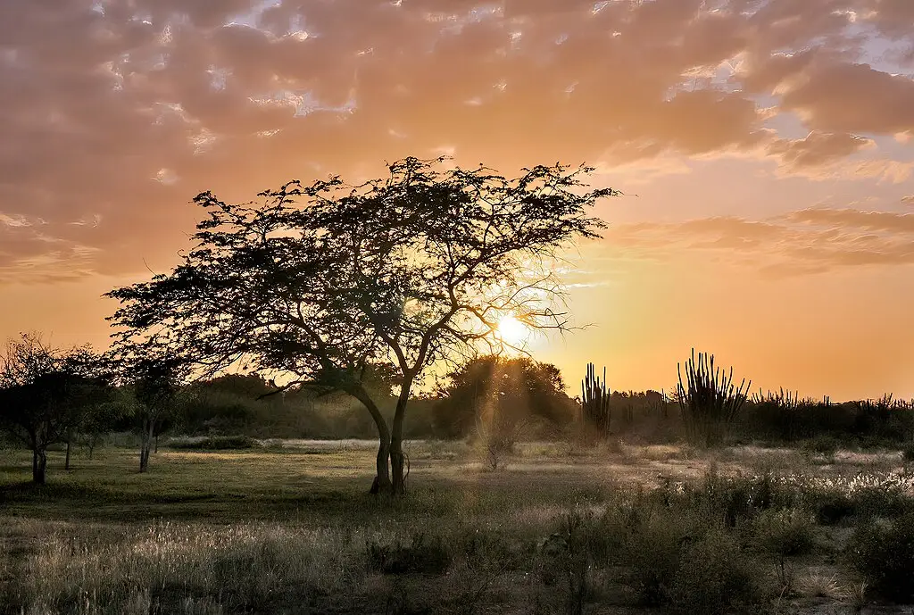 Zonsondergang Margarita Island