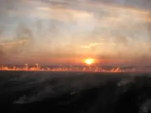 Brandende velden bij zonsopgang