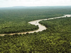 Gambia, Nationaal Park Niokolokoba