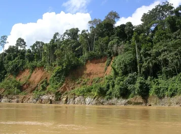 Peru Rio Madre de Dios