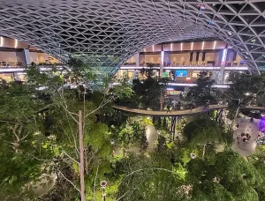 Qatar Hamad International Airport