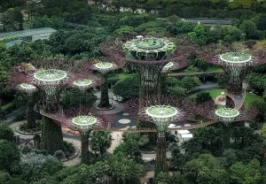 Gardens by the Bay, Supertree Grove, Siganpore