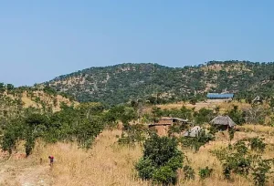 Zambia Lower Zambezi